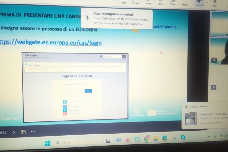 Webinar mobilità su piccola scala settore scuola (6)