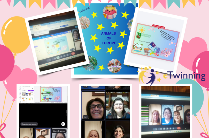 COLLAGE FOTO ULTIMO INCONTRO DOCENTI PROGETTO ETWINNING ANIMALS OF EUROPE